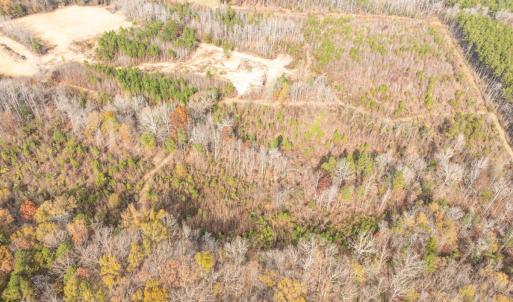 Photo #12 of Off Mann Oakley Road, Rougemont, NC 20.4 acres