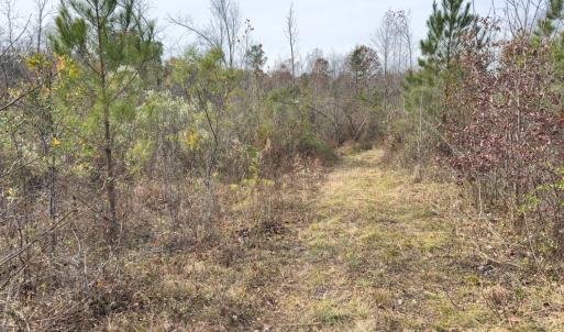 Photo #13 of Off Mann Oakley Road, Rougemont, NC 20.4 acres