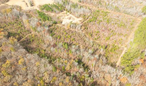 Photo #14 of Off Mann Oakley Road, Rougemont, NC 20.4 acres