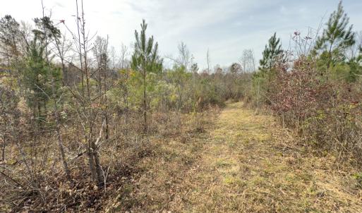 Photo #15 of Off Mann Oakley Road, Rougemont, NC 20.4 acres