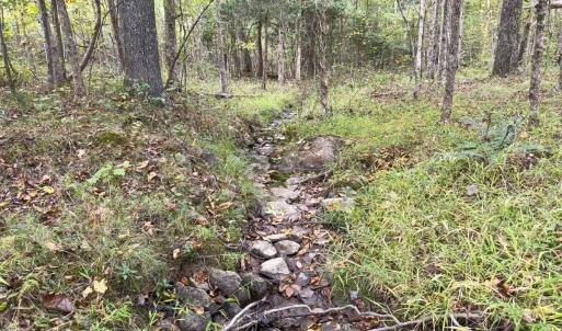 Photo #18 of Off Mann Oakley Road, Rougemont, NC 20.4 acres