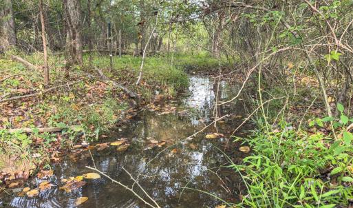 Photo #2 of Off Mann Oakley Road, Rougemont, NC 20.4 acres