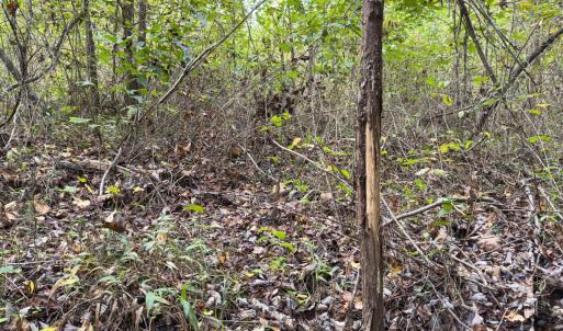 Photo #9 of Off Mann Oakley Road, Rougemont, NC 20.4 acres