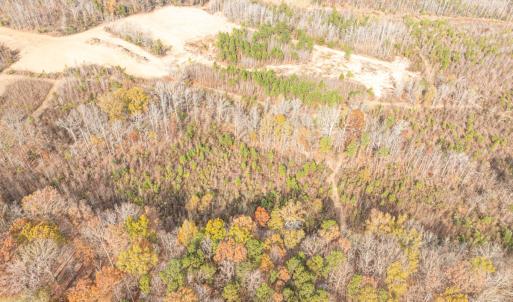 Photo #10 of Off Mann Oakley Road, Rougemont, NC 20.4 acres