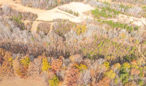 Photo #25 of Off Mann Oakley Road, Rougemont, NC 20.4 acres