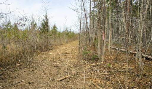 Photo #28 of Off Mann Oakley Road, Rougemont, NC 20.4 acres