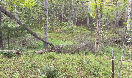 Photo #31 of Off Mann Oakley Road, Rougemont, NC 20.4 acres
