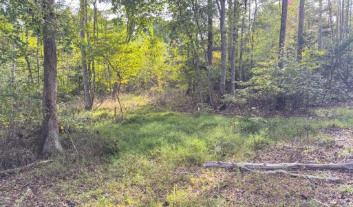 Photo #32 of Off Mann Oakley Road, Rougemont, NC 20.4 acres