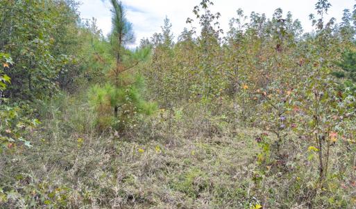 Photo #36 of Off Mann Oakley Road, Rougemont, NC 20.4 acres