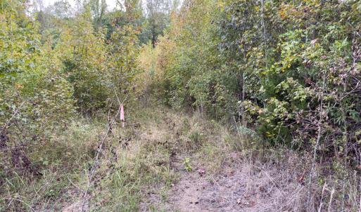 Photo #37 of Off Mann Oakley Road, Rougemont, NC 20.4 acres