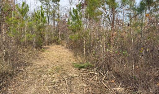 Photo #38 of Off Mann Oakley Road, Rougemont, NC 20.4 acres