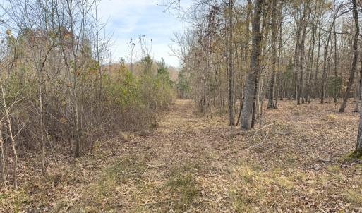 Photo #41 of Off Mann Oakley Road, Rougemont, NC 20.4 acres