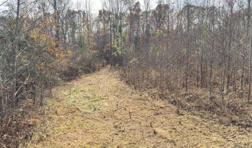 Photo #43 of Off Mann Oakley Road, Rougemont, NC 20.4 acres