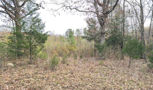 Photo #46 of Off Mann Oakley Road, Rougemont, NC 20.4 acres