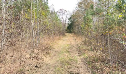 Photo #50 of Off Mann Oakley Road, Rougemont, NC 20.4 acres
