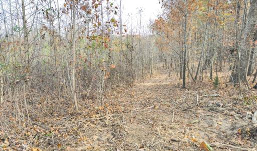 Photo #51 of Off Mann Oakley Road, Rougemont, NC 20.4 acres