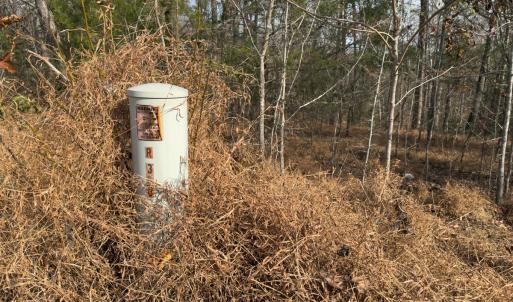 Photo #52 of Off Mann Oakley Road, Rougemont, NC 20.4 acres