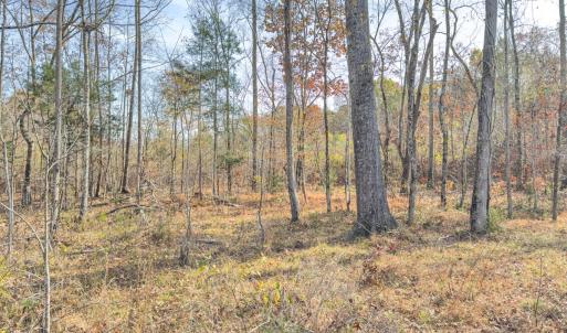 Photo #53 of Off Mann Oakley Road, Rougemont, NC 20.4 acres