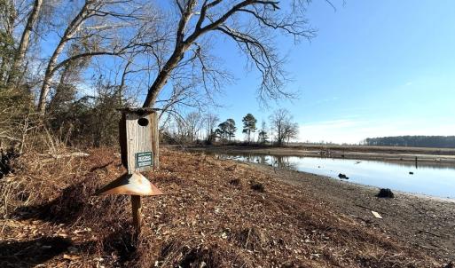 Photo #17 of Off  Euray Moore Road (Lot 1), Warsaw, NC 10.1 acres
