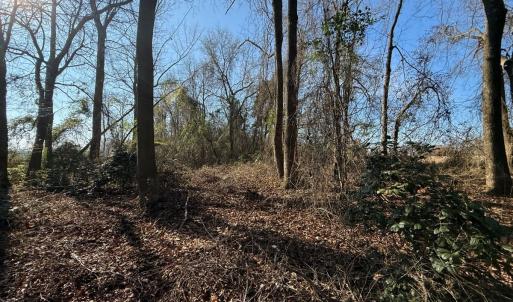 Photo #50 of Off  Euray Moore Road (Lot 1), Warsaw, NC 10.1 acres