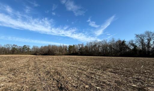 Photo #13 of Off Euray Moore Road (Lot 2), Warsaw, NC 10.1 acres