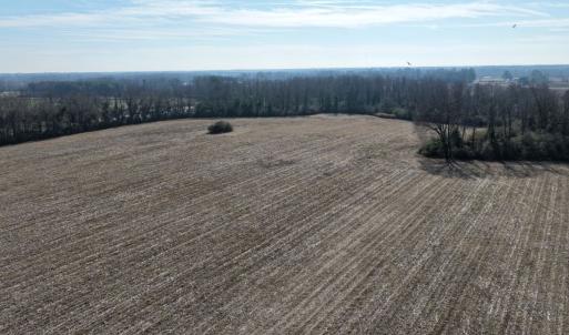 Photo #23 of Off Euray Moore Road (Lot 2), Warsaw, NC 10.1 acres