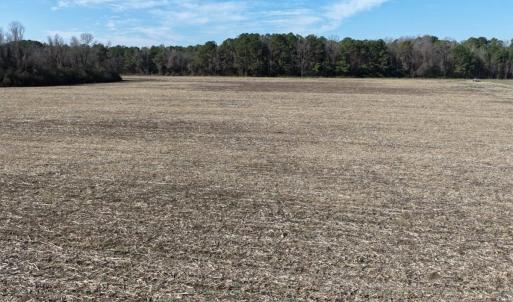 Photo #24 of Off Euray Moore Road (Lot 2), Warsaw, NC 10.1 acres