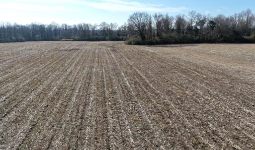 Photo #27 of Off Euray Moore Road (Lot 2), Warsaw, NC 10.1 acres