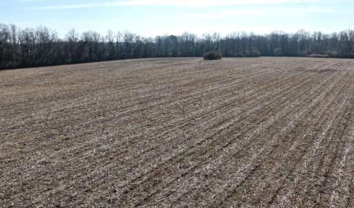 Photo #28 of Off Euray Moore Road (Lot 2), Warsaw, NC 10.1 acres
