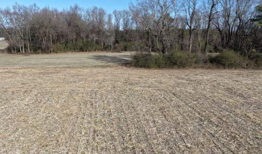 Photo #29 of Off Euray Moore Road (Lot 2), Warsaw, NC 10.1 acres