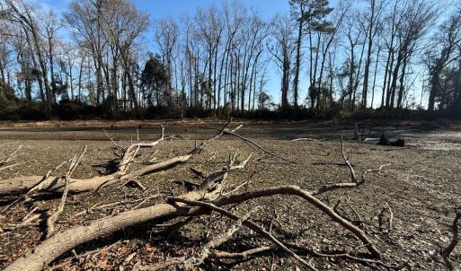Photo #39 of Off Euray Moore Road (Lot 2), Warsaw, NC 10.1 acres