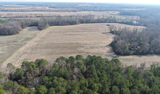 Photo #6 of Off Euray Moore Road (Lot 2), Warsaw, NC 10.1 acres