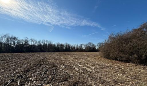 Photo #37 of Off Euray Moore Road (Lot 3), Warsaw, NC 10.1 acres