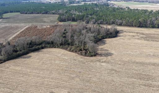 Photo #49 of Off Euray Moore Road (Lot 3), Warsaw, NC 10.1 acres