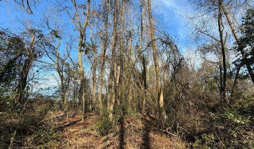Photo #53 of Off Euray Moore Road (Lot 3), Warsaw, NC 10.1 acres