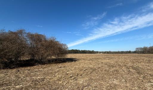 Photo #22 of Lot 4 Off of  Euray Moore Road, Warsaw, NC 12.2 acres