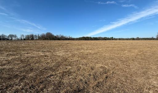 Photo #23 of Lot 4 Off of  Euray Moore Road, Warsaw, NC 12.2 acres