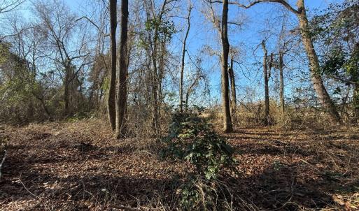 Photo #43 of Lot 4 Off of  Euray Moore Road, Warsaw, NC 12.2 acres