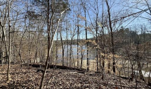 Photo #10 of 666 Soloman Rd, Prospect Hill, NC 28.0 acres
