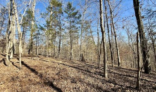 Photo #11 of 666 Soloman Rd, Prospect Hill, NC 28.0 acres