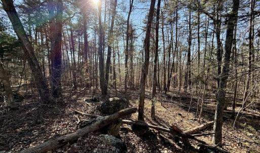 Photo #12 of 666 Soloman Rd, Prospect Hill, NC 28.0 acres