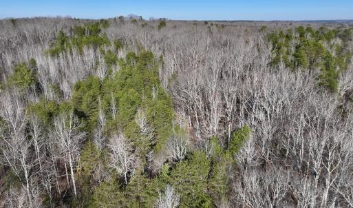 Photo #14 of 666 Soloman Rd, Prospect Hill, NC 28.0 acres