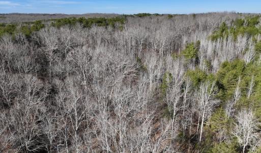 Photo #15 of 666 Soloman Rd, Prospect Hill, NC 28.0 acres