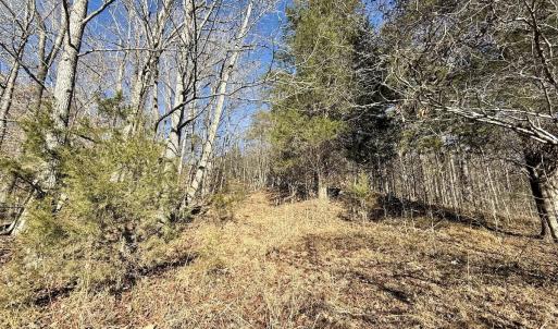 Photo #16 of 666 Soloman Rd, Prospect Hill, NC 28.0 acres