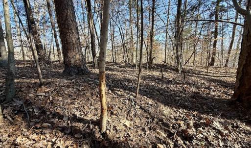 Photo #17 of 666 Soloman Rd, Prospect Hill, NC 28.0 acres