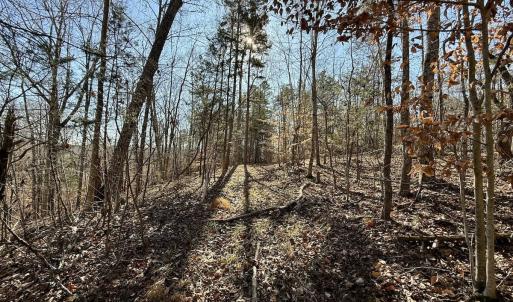 Photo #18 of 666 Soloman Rd, Prospect Hill, NC 28.0 acres