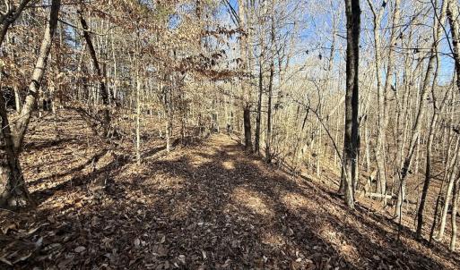 Photo #19 of 666 Soloman Rd, Prospect Hill, NC 28.0 acres