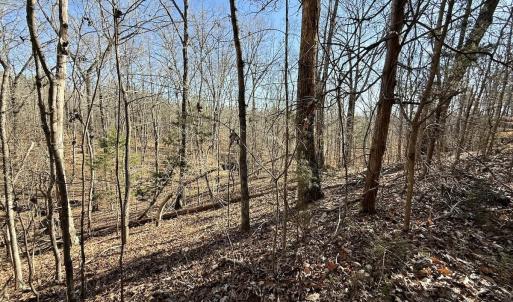 Photo #20 of 666 Soloman Rd, Prospect Hill, NC 28.0 acres