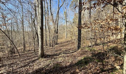 Photo #25 of 666 Soloman Rd, Prospect Hill, NC 28.0 acres