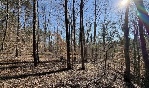 Photo #26 of 666 Soloman Rd, Prospect Hill, NC 28.0 acres